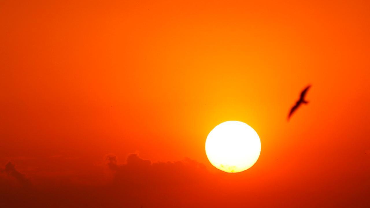 Midwest, Northeast brace for heat wave
