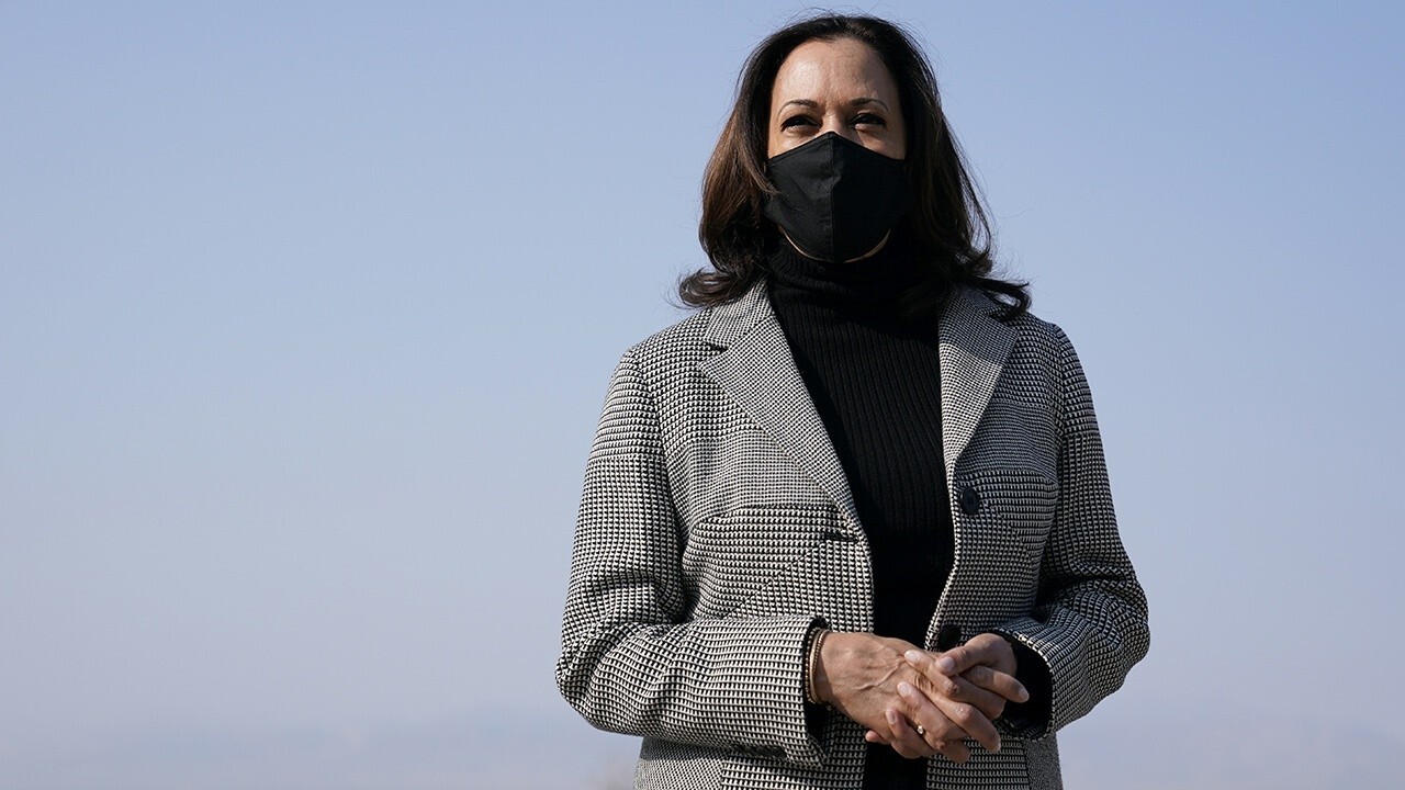 Seems like Harris is ‘dodging the real issue’: Border Patrol Union exec on immigration 