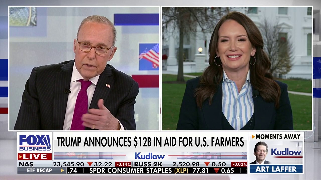 U.S. Agriculture Secretary Brooke Rollins discusses the Trump administration’s push for affordability following his announcement of $12B in aid for farmers on ‘Kudlow.’