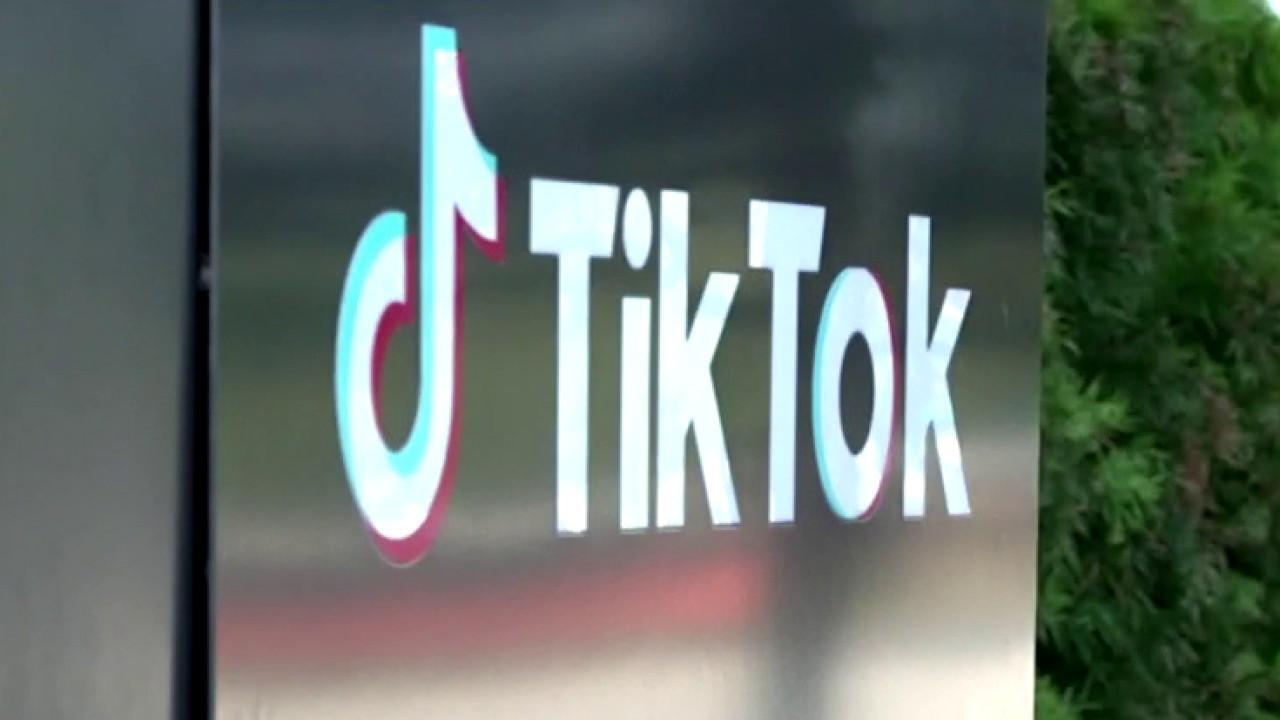 TikTok preparing legal challenge against Trump's executive order: Report