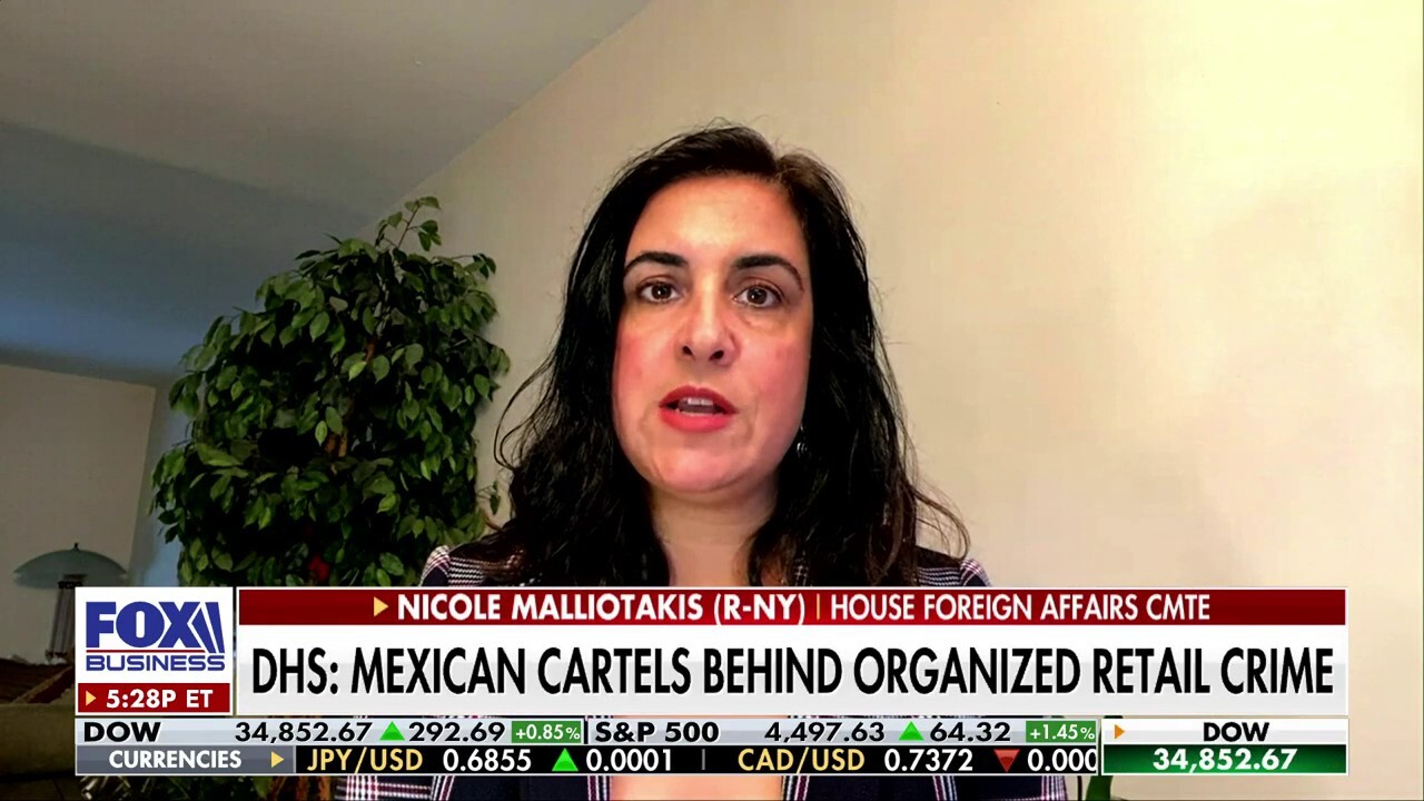 There are a lot of reasons to be concerned about Biden’s open borders: Rep. Nicole Malliotakis