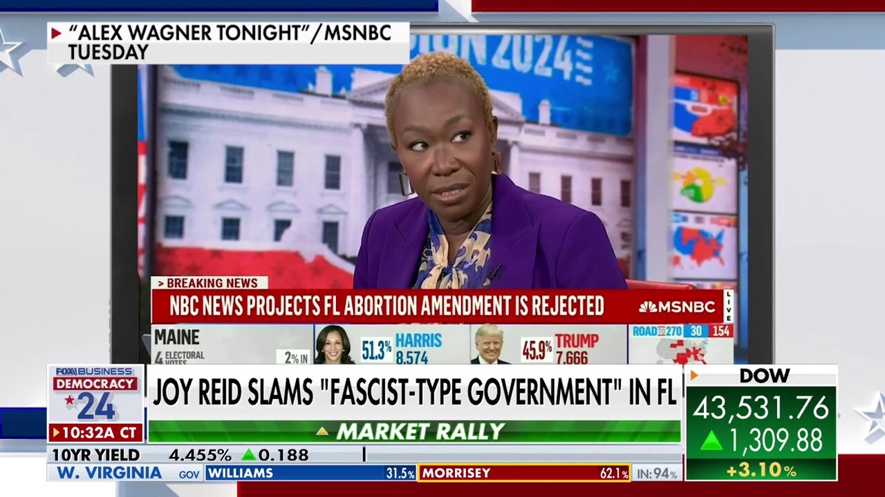 MSNBC host criticized for slamming Florida's 'fascist-type government' after abortion ballot measure rejected