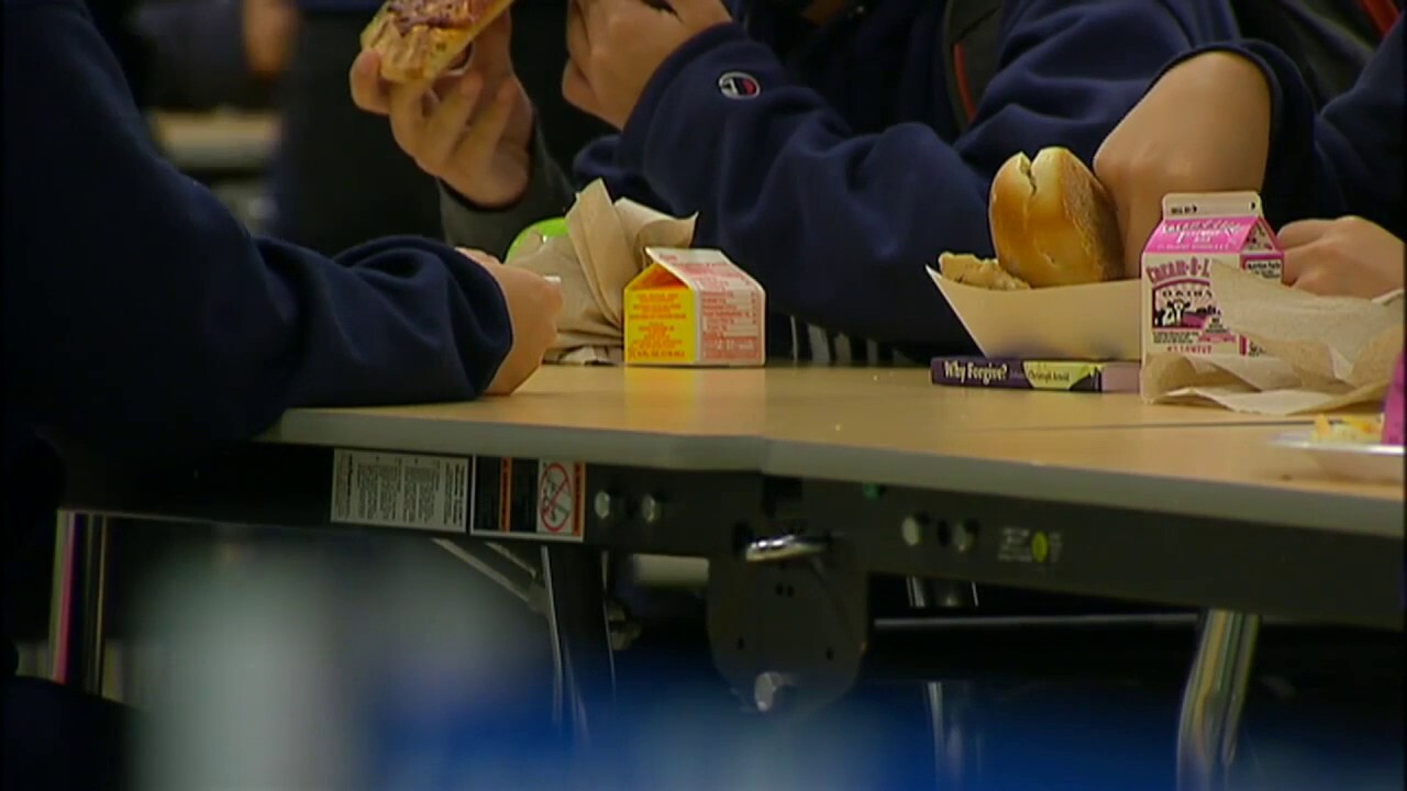 Detroit public schools are receiving less food than usual due to a distributor strike, leading to reduced meal choices for students until the district finds a new vendor to fill the gap. (FOX 2 Detroit)