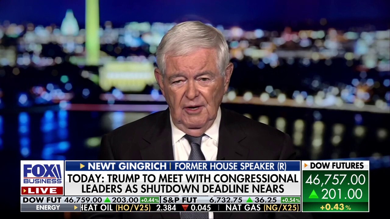Newt Gingrich: Schumer is putting Democrats at risk with this new 'political stunt'