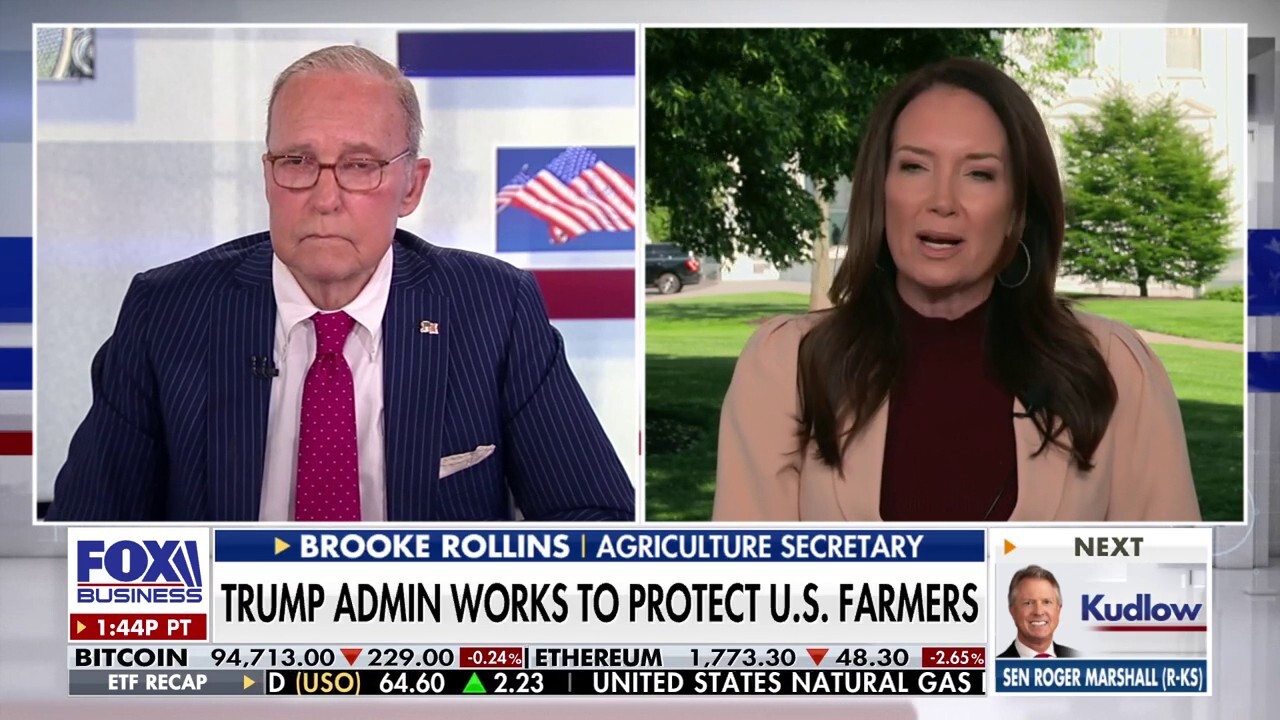 Agriculture Secretary Brooke Rollins discusses bringing down the cost of food on 'Kudlow.'