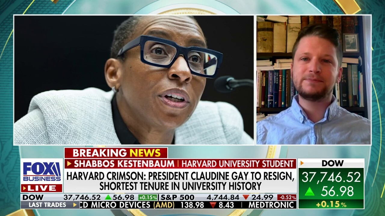 Harvard University student Shabbos Kestenbaum reacts to Harvard President Claudine Gays resignation and the fallout following the announcement.