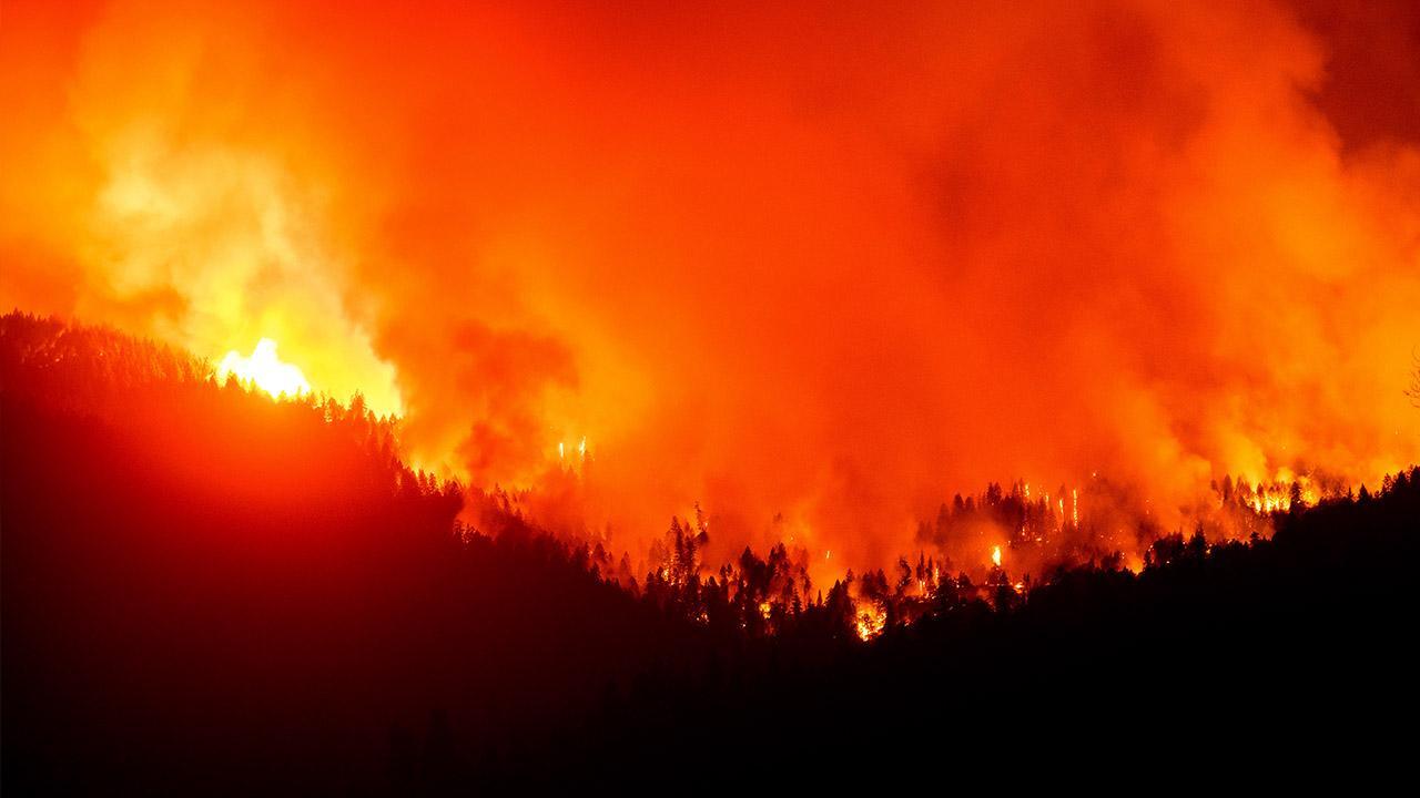 Fire suppression is bigger cause for wildfires than global warming: Environmentalist 