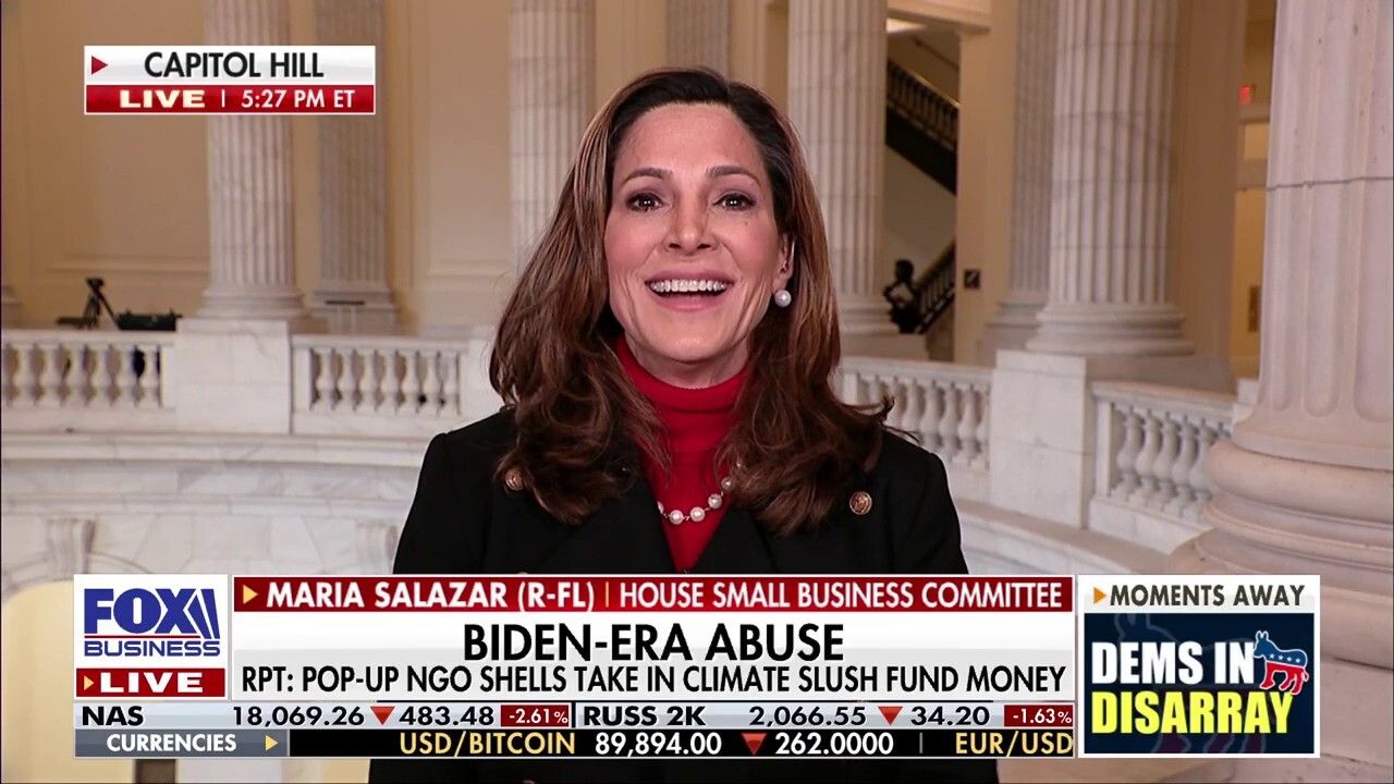 Elon Musk ‘doing a great job’ despite continued attacks from Democrats, Florida Republican says