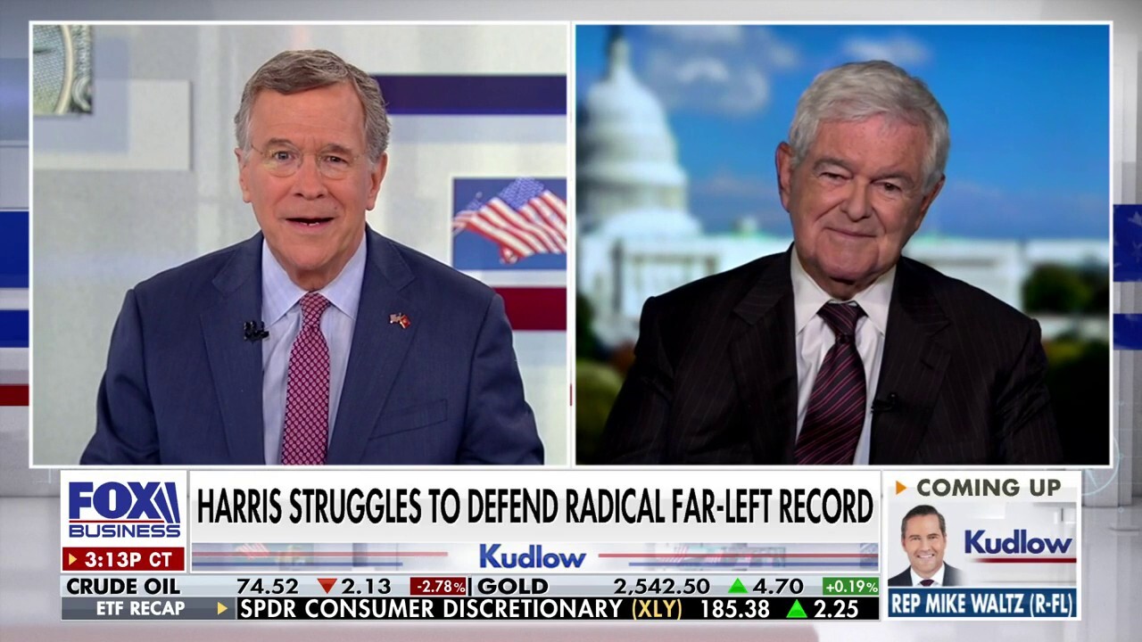 Newt Gingrich: Biden isn't passing the torch, Pelosi and others took it from him