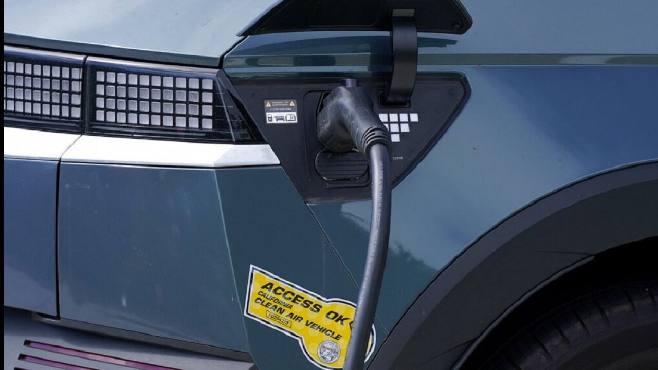Lomborg says electric vehicles will only help combat climate change 'a tiny bit'
