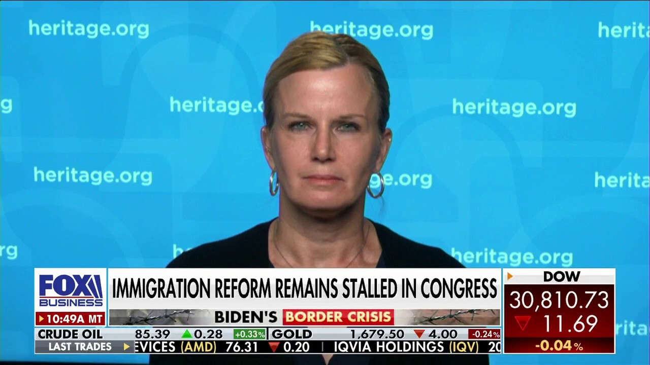 Heritage Foundation border security director rips Democrats for open border: 'Elite vs. the rest of America'