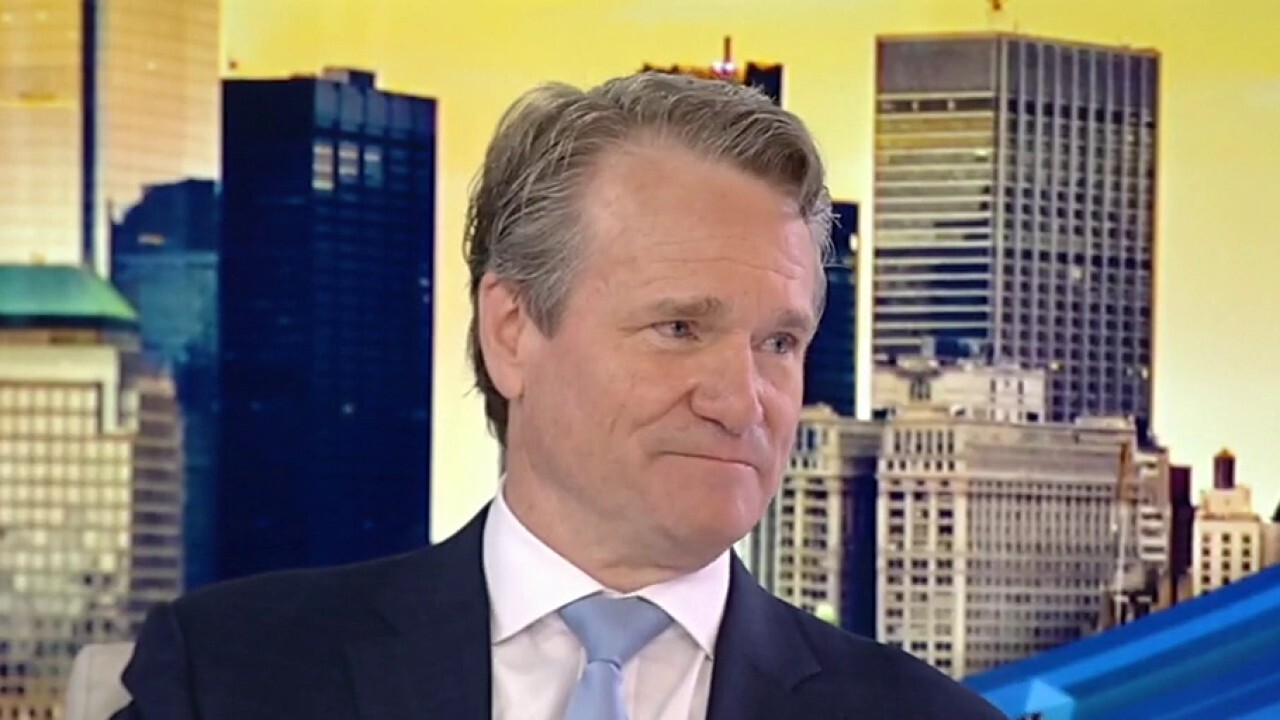 Bank of America CEO Brian Moynihan speaks with 'Mornings with Maria' in an exclusive interview about the 'dynamics' in the economy. 