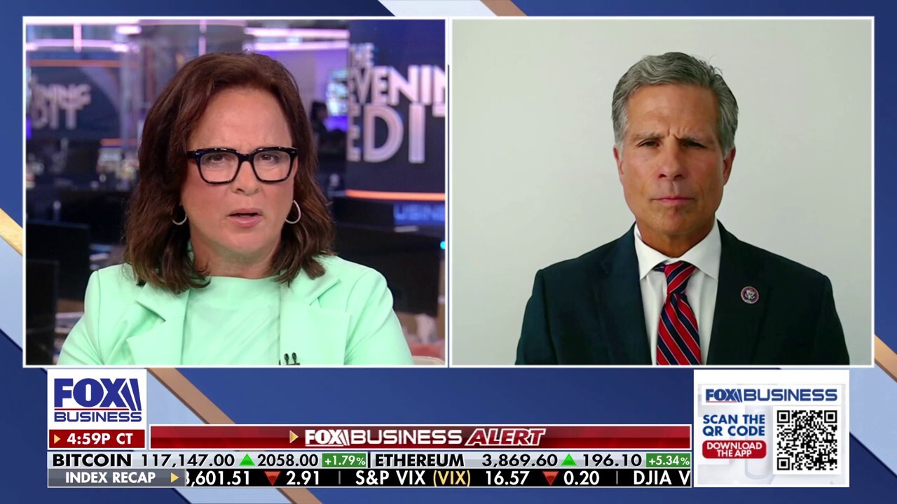 Dems think they OWN the government: Rep Dan Meuser