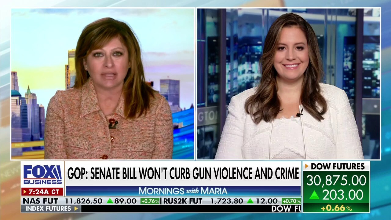 Rep. Elise Stefanik, R-N.Y., weighs in on the Supreme Court striking down New York rule that set high bar for concealed carry licenses on ‘Mornings with Maria.’