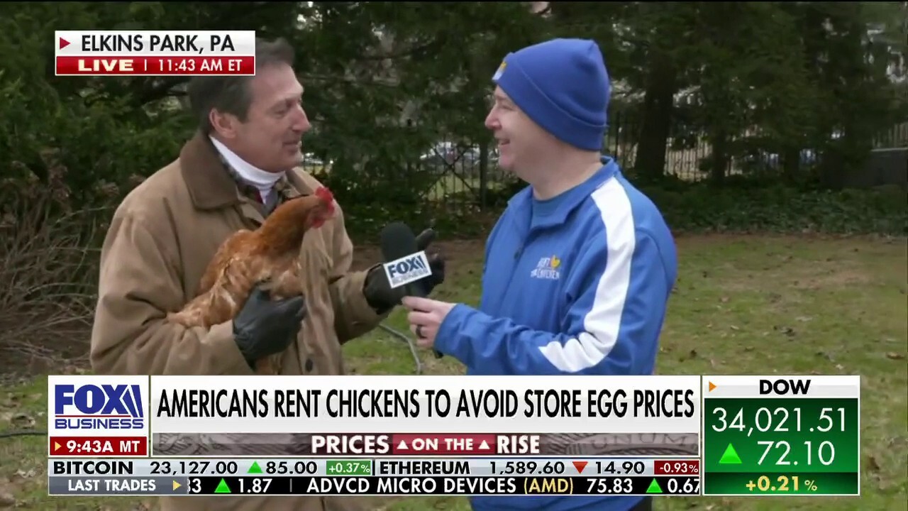 Jeff Flock explores a growing trend with Phil Tompkins of Rent The Chicken on 'Varney & Co.'