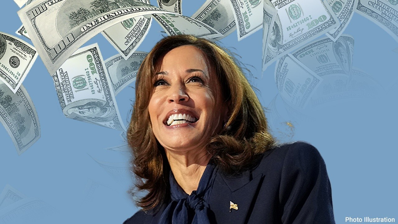 Trump 2024 surrogate criticizes Kamala Harris: Money can't buy 'authenticity, connection' to voters