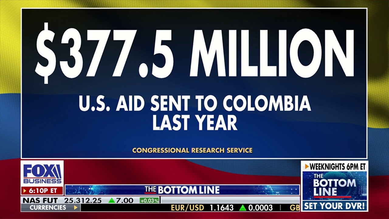 Colombian-American constituents in Florida 'not happy' with Colombian president: Sen. Ashley Moody