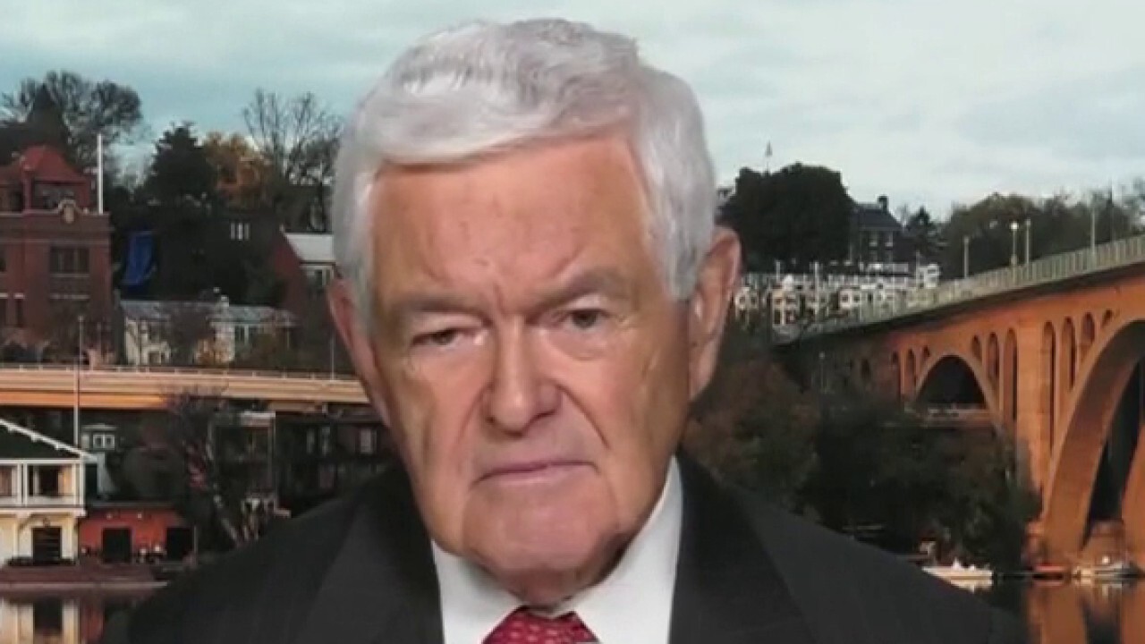 Newt Gingrich slams Dems for 'living in a fantasy land'