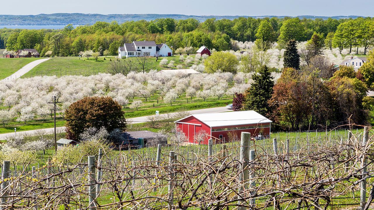 Traverse City, Michigan, is home to 600K millennial millionaires, fresh water beaches