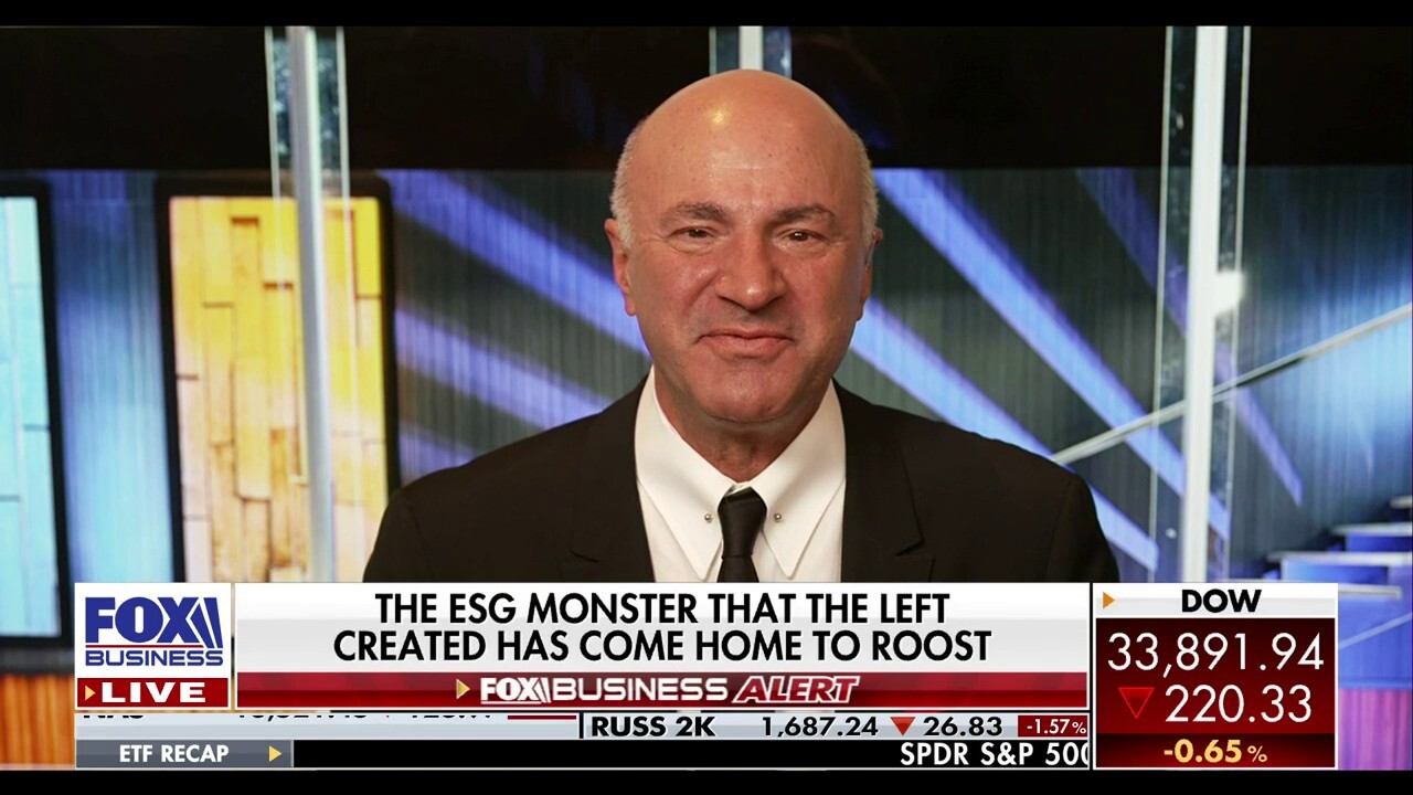 Kevin O'Leary: Government shouldn't be subsidizing unproven technology