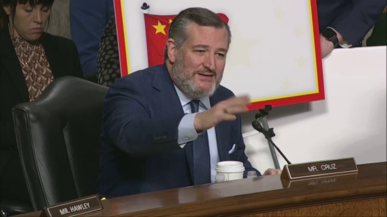 Sen. Cruz calls out TikTok CEO on alleged suppression of anti-China views, cites searches of Taylor Swift v. Tiananmen Square