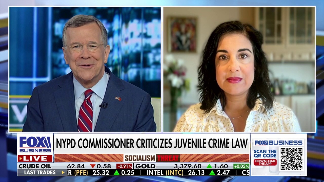 NY Rep. Malliotakis rips radical defund and anti-ICE policies: ‘A threat to public safety’