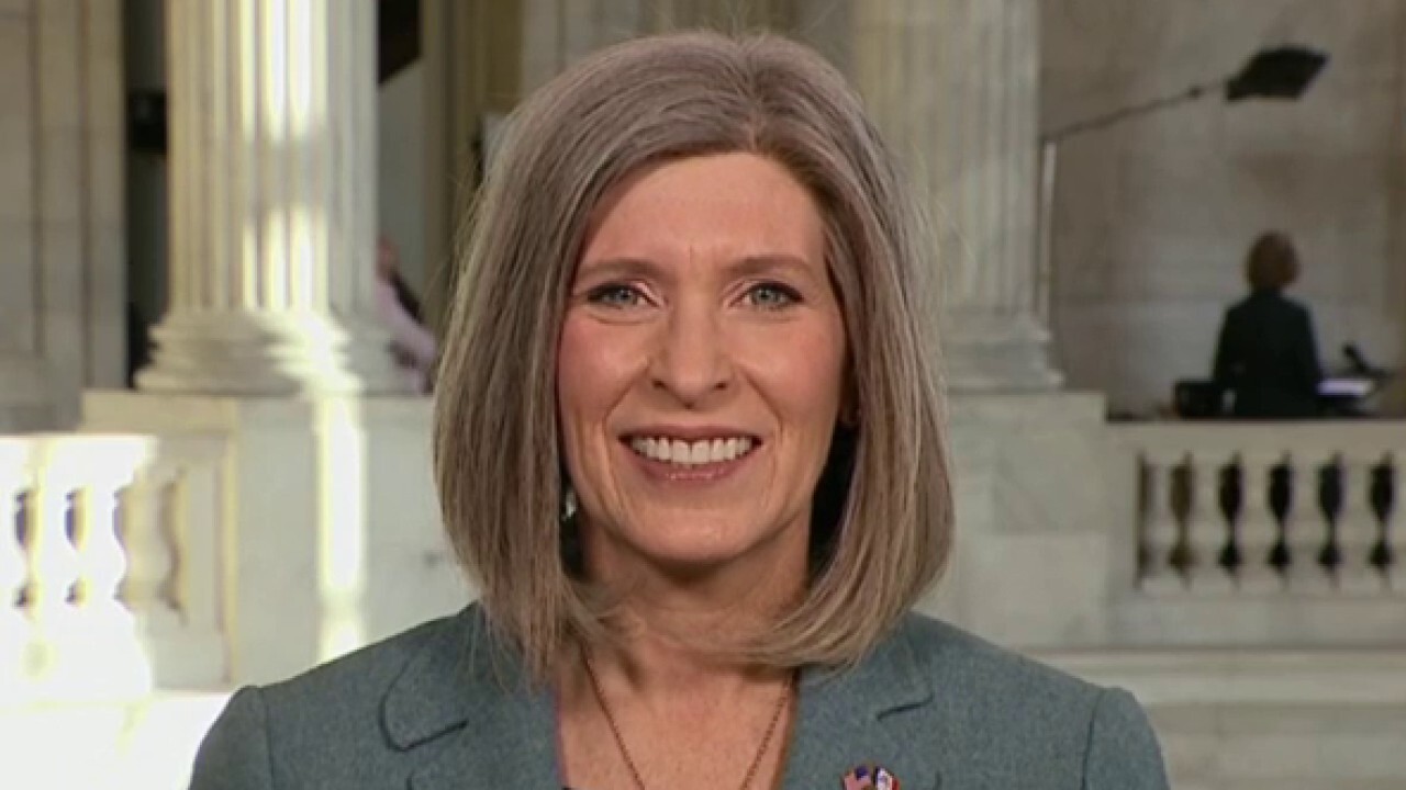 Sen. Joni Ernst, R-Iowa, discusses the future of DOGE on 'Kudlow.'
