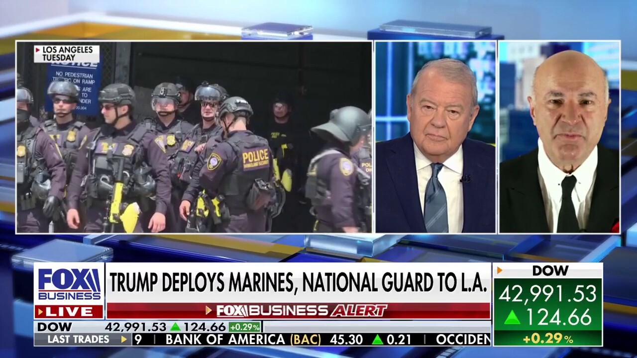 O'Leary rips poor management of California, says Los Angeles is a 'war zone'