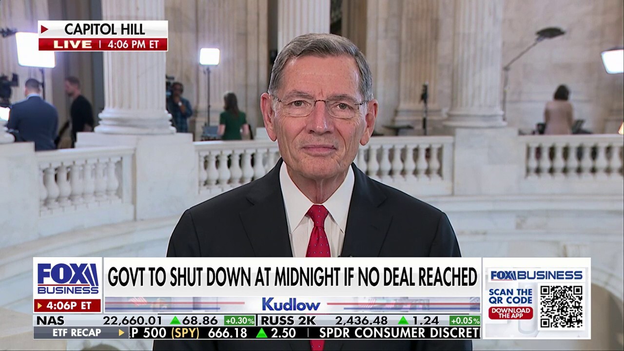Chuck Schumer is being 'held hostage' by the 'radical wing' of his party, says Sen. John Barrasso