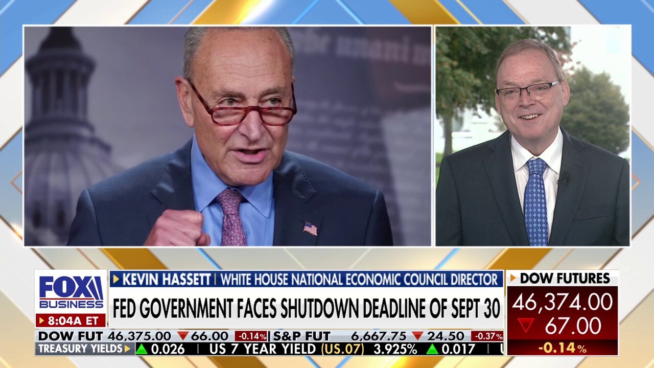 Democrats are willing to shut down government because they are 'losing so bad': Kevin Hassett