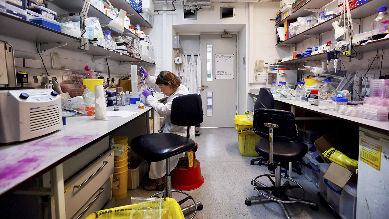 Are scientists on the cusp of finding a cure for cancer?
