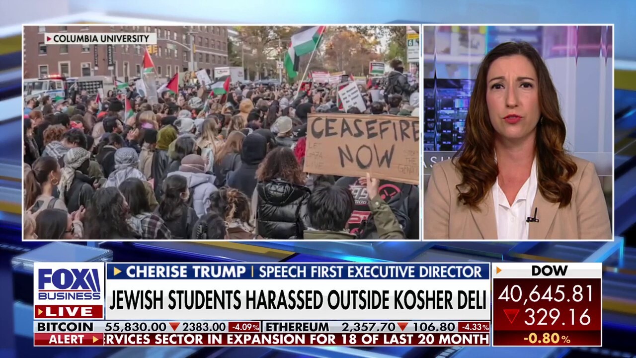 Pro-Hamas protests go beyond free speech, committing 'real crimes': Cherise Trump