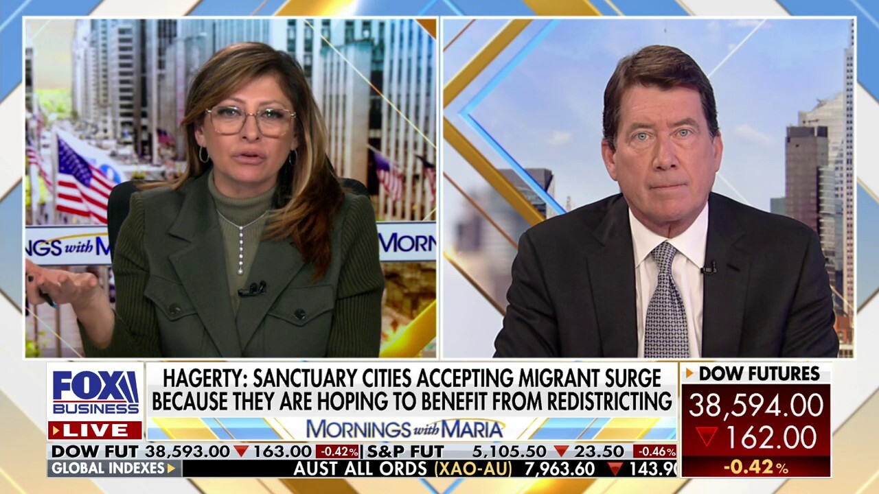Sen. Bill Hagerty, R-Tenn., argues Democrats are 'harvesting electoral power on backs of illegal migrants.'
