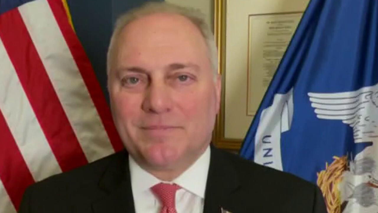 Louisiana Republican Rep. Steve Scalise provides insight on the omnibus spending bill on 'Kudlow.'