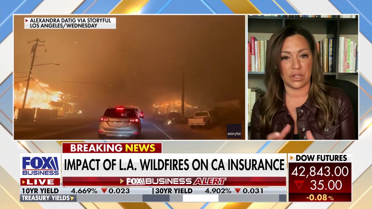 CRMBC CEO and insurance industry expert Kaya Stanley explains how there's no state surplus to cover the 'catastrophic' economic losses associated with the Los Angeles wildfires.