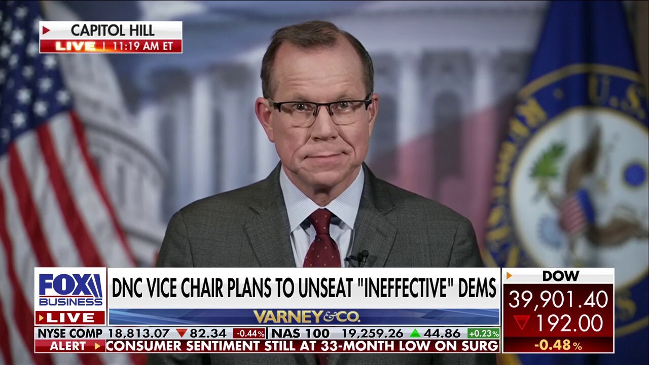 DNC vice chairman plans to unseat 'ineffective' Democrats
