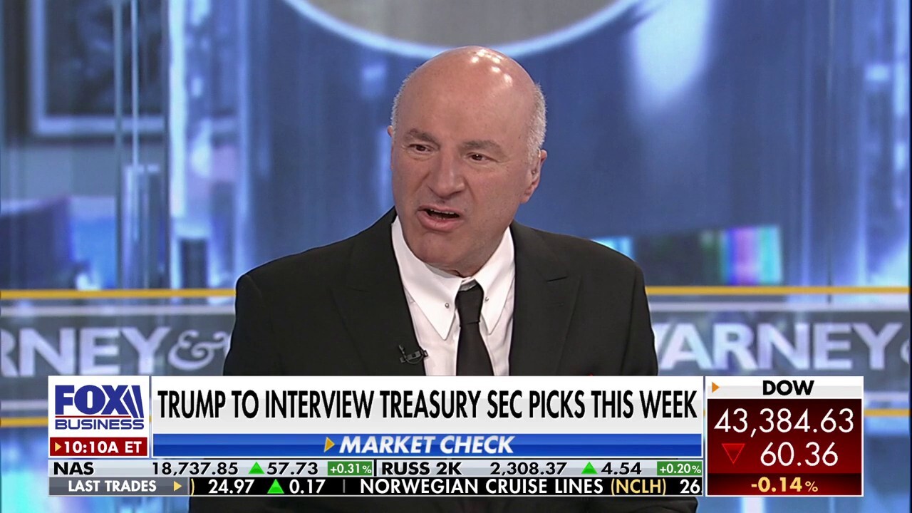 Kevin O'Leary wants Trump's Treasury pick to understand small business