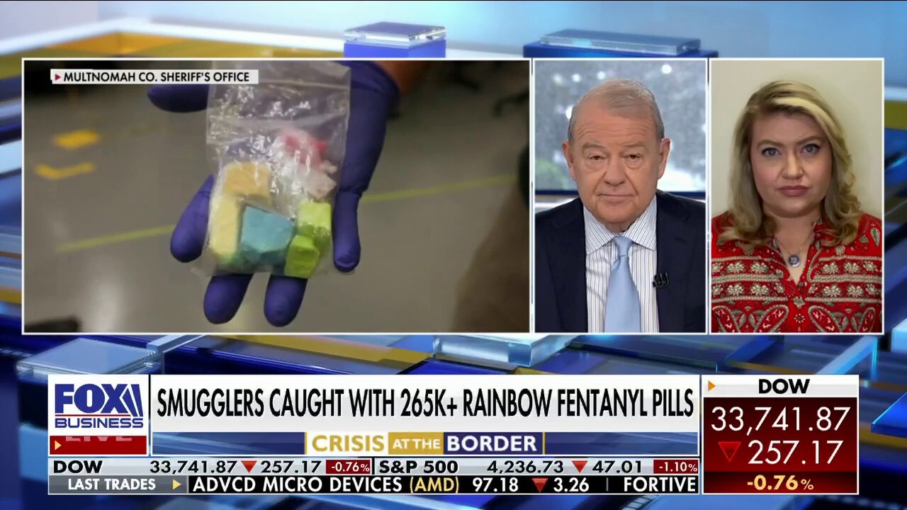Biden regime responsible for 'bricks of fentanyl' flowing across southern border: Rep. Cammack