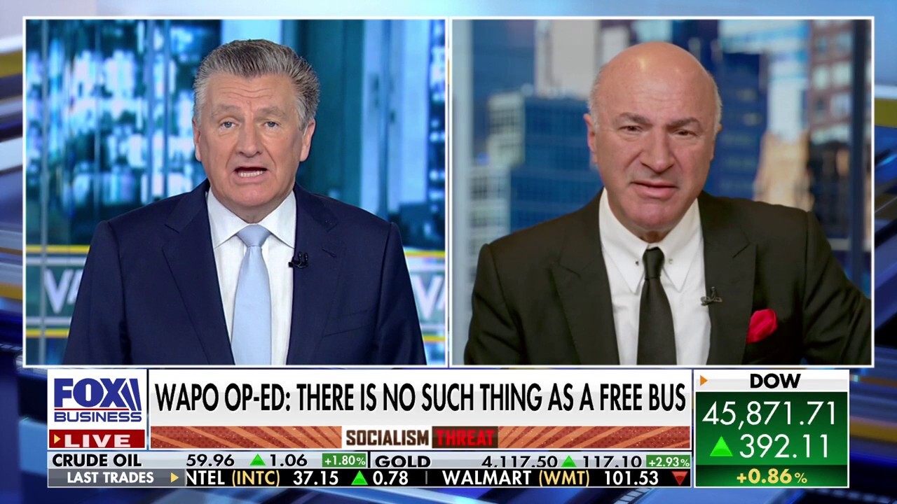 City-run grocery stores fall into the 'stupid policy category': Kevin O'Leary