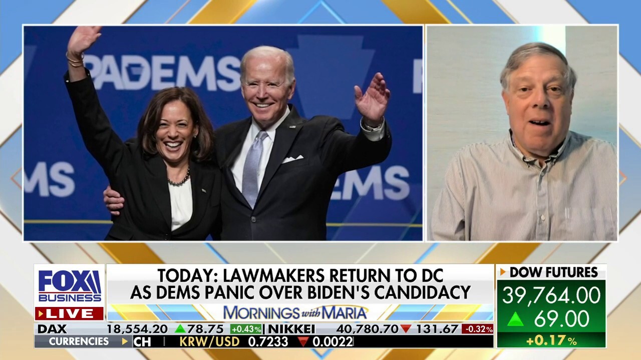 Harris Poll chair and former senior adviser to the Clintons, Mark Penn, unpacks Democrats' concerns over Biden's fitness for president and who is most likely to replace him.