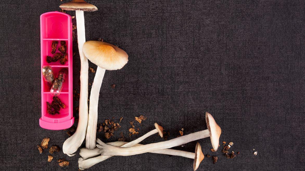 Magic mushrooms 'have potential' to treat depression: Dr. Marc Siegel