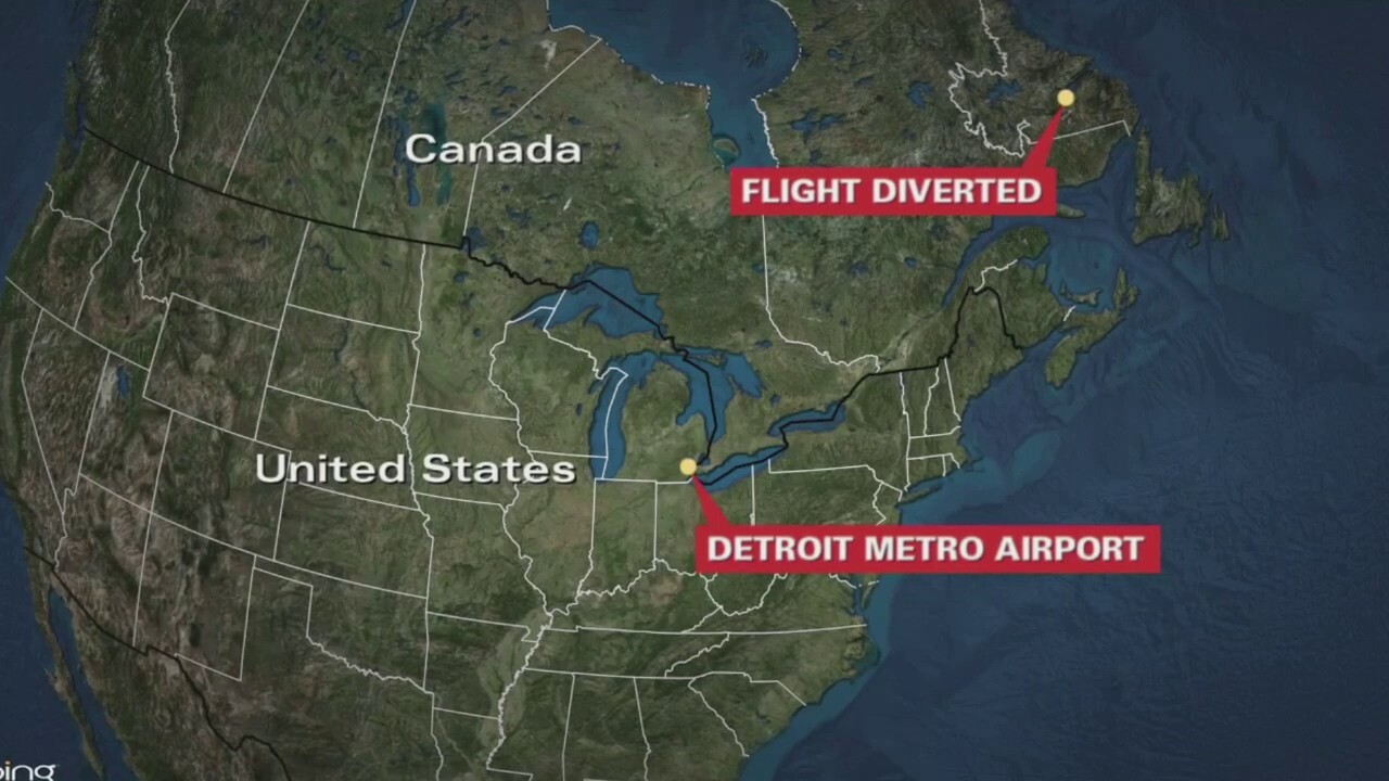 Several hundred Delta Air Lines passengers had a long and difficult journey from Amsterdam to Detroit over the weekend, after an emergency landing in Canada caused a 24-hour delay, FOX 2 Detroit reports. 