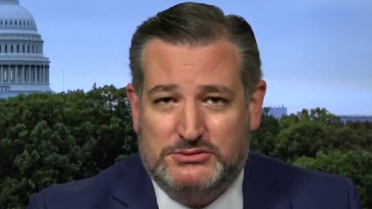 Sen. Ted Cruz, R-Texas, argues big corporations are 'becoming the woke enforcers of the Democratic party.'