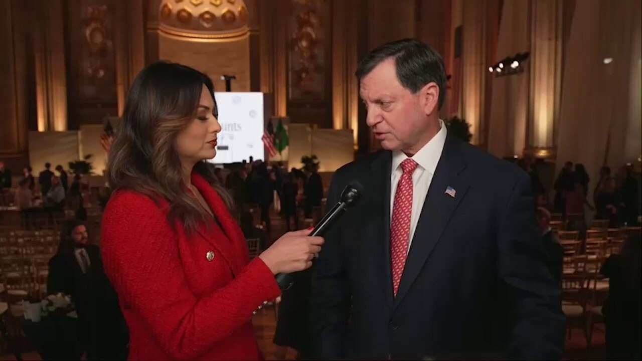 IRS CEO Frank Bisignano told Fox News' Aishah Hasnie that another possible government shutdown would not impact refund checks.