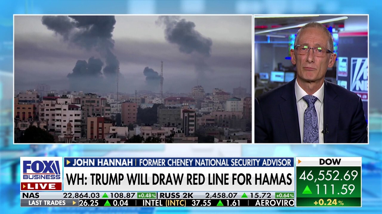Hamas is the 'only culprit' for the ongoing war with Israel: Former Cheney advisor