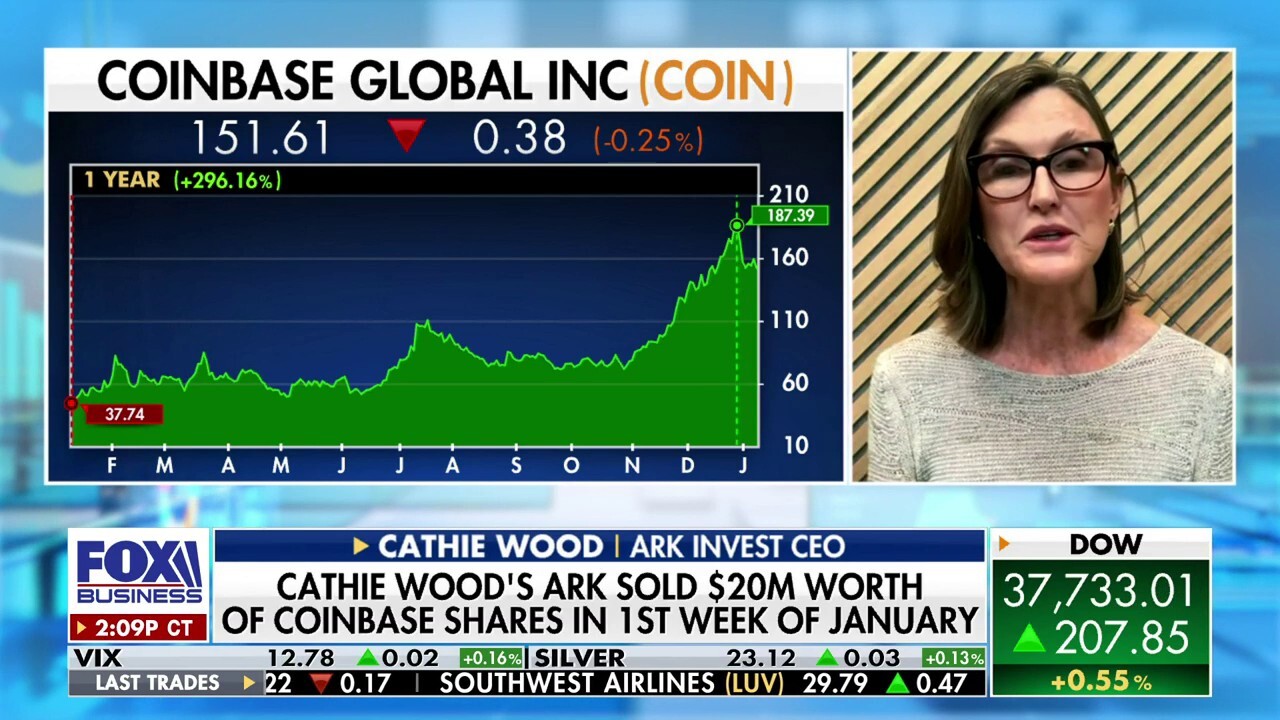  Ark Invest CEO Cathie Wood reacts to a hacker posting approval of Spot Bitcoin ETFs on 'The Claman Countdown.'