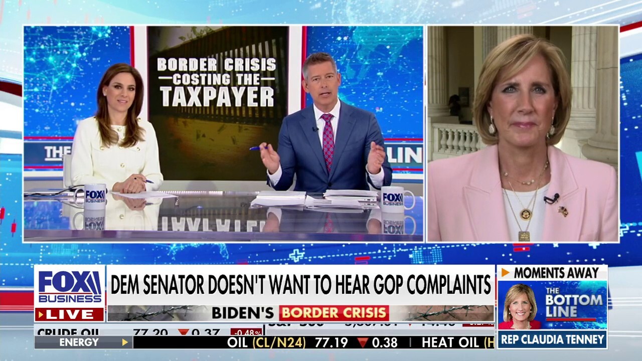Rep. Claudia Tenney: This is why Democrats don't want to support the border