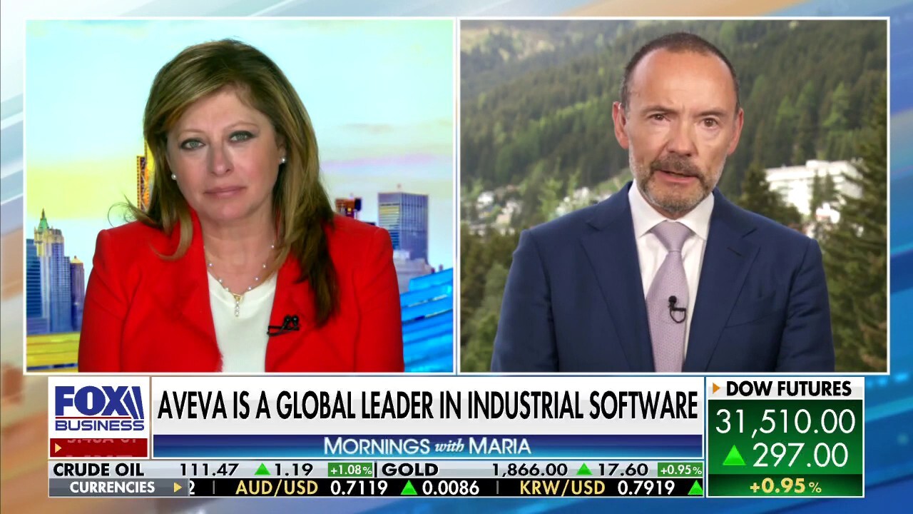 Aveva CEO Peter Herweck discusses the source of his industrial software company's growth, explains how its operations help clients and assesses  the tight labor market.