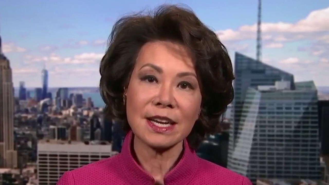 Government should not be in competition with private sector: Elaine Chao