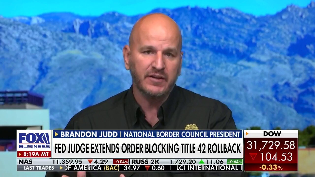Biden’s policies ‘inviting people to put themselves in hands of criminal organizations’: Judd